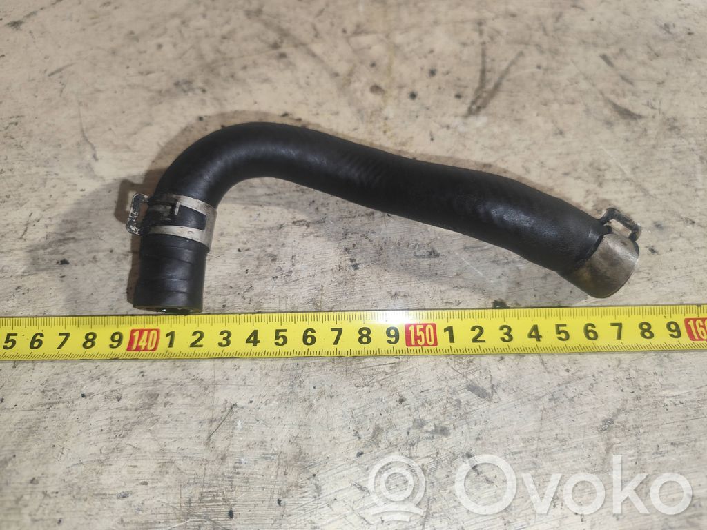 Nissan Primera Variklio aušinimo vamzdelis (-ai)/ žarna (-os) 