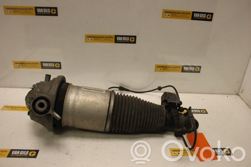 Porsche Cayenne (9PA) Stoßdämpfer hinten