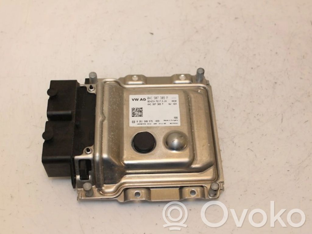 Centralina/modulo del motore   04C907309P,04C907309P