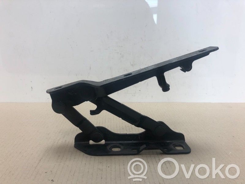 Scharnier Motorhaube   600673800E,600673800E