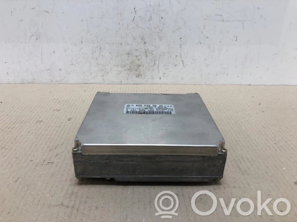 Mercedes-Benz E AMG W210 Unitate/modul de control motor 