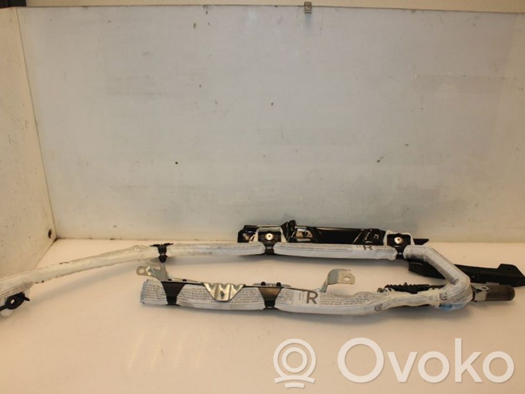 BMW X1 E84 Airbag del techo 