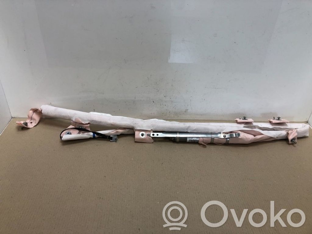 Airbag del techo   100526100,100526100