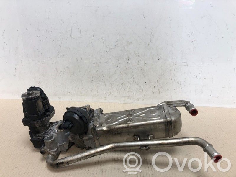 Skoda Fabia Mk2 (5J) Valvola di raffreddamento EGR
