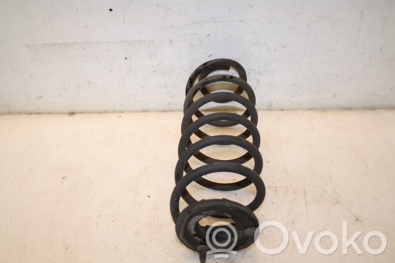 Muelle espiral trasero