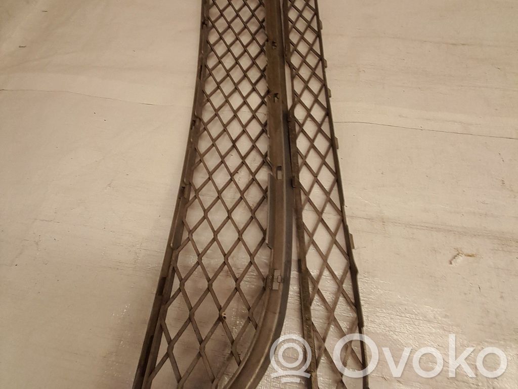 Front grill   7176282,105034