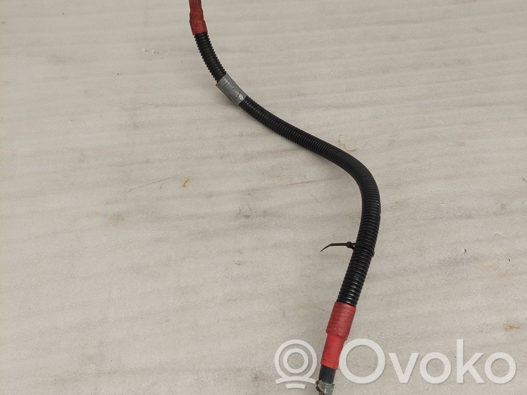 Cable positivo (batería)   7789754,6142264,E1B69R,250406