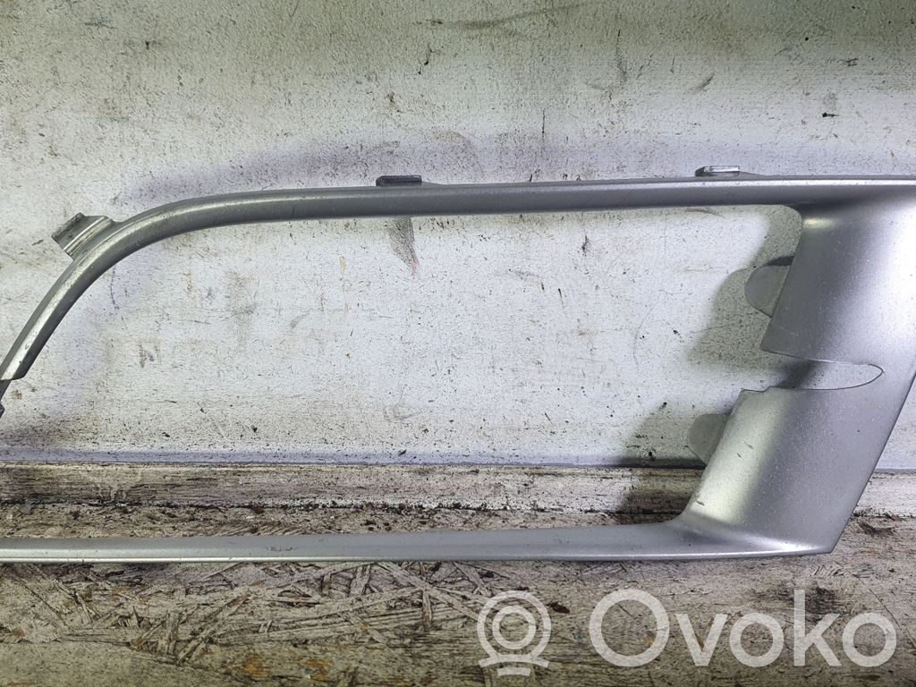 Front bumper splitter molding   50C22