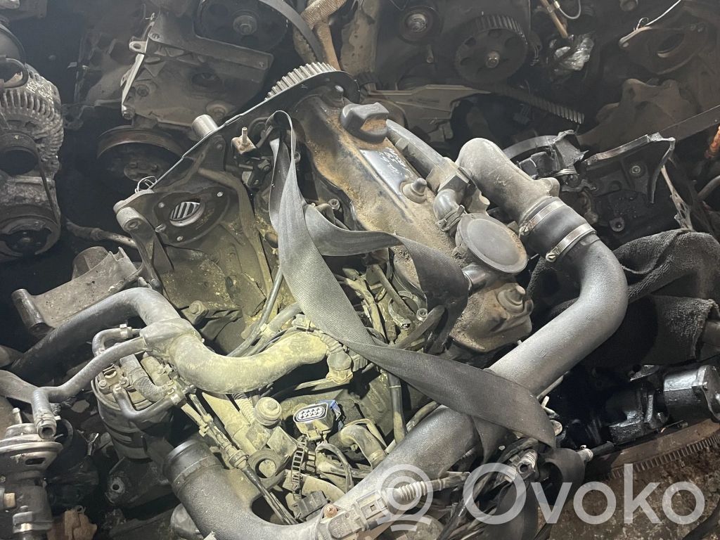 Motor   AFN,AFN