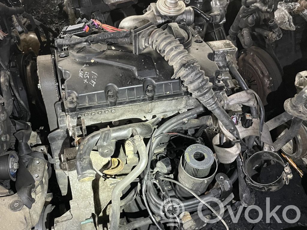 Volkswagen PASSAT B5.5 Motor 