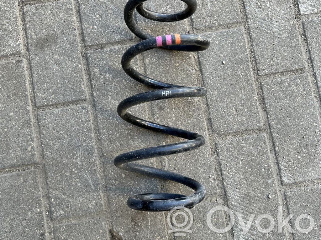Front coil spring