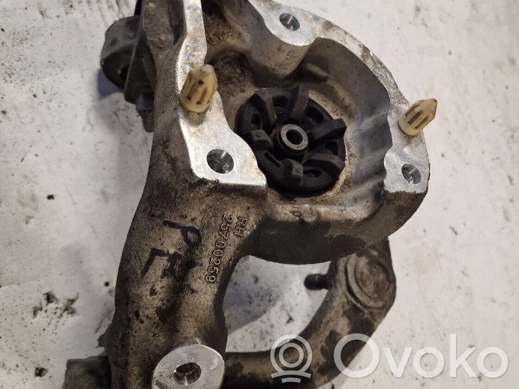Svira   25700259