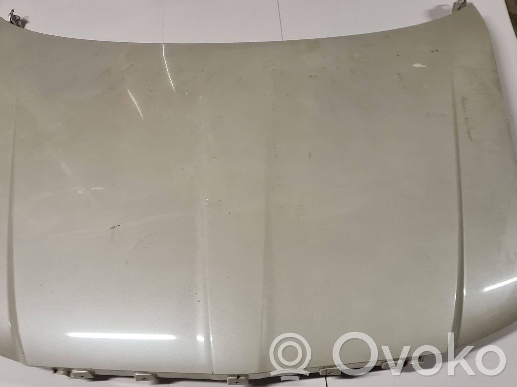 Engine bonnet/hood