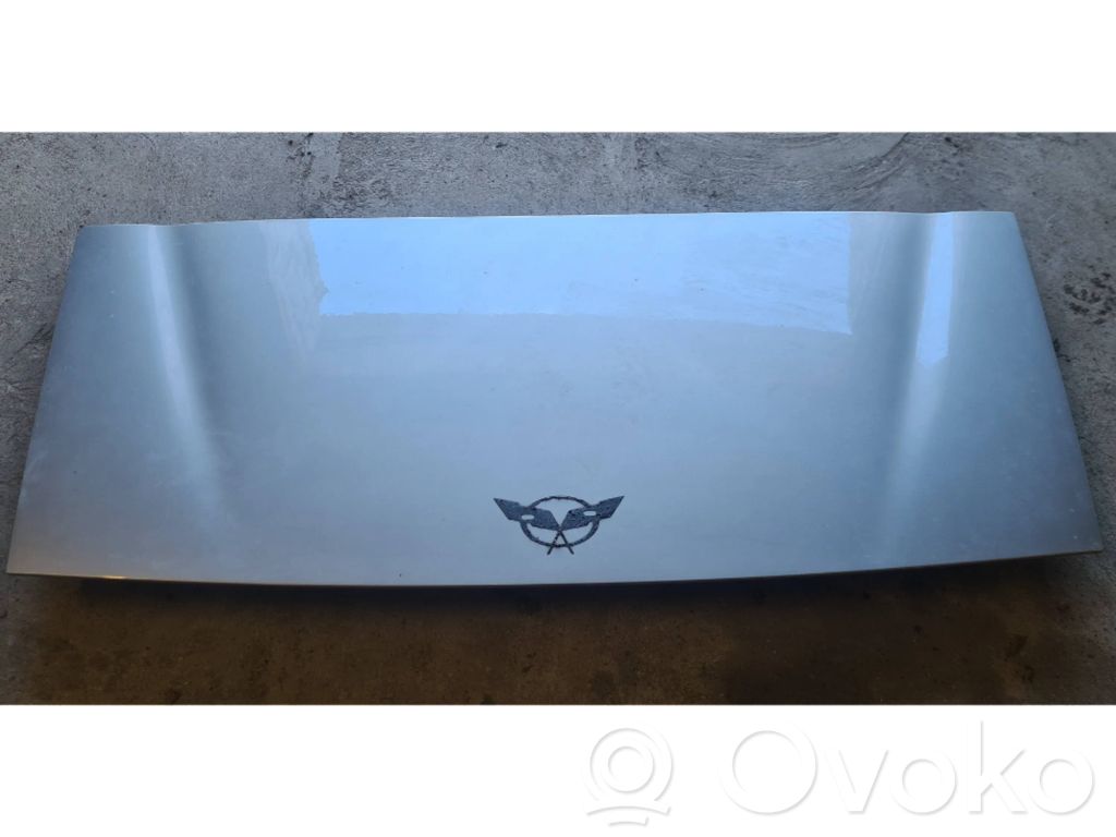 Tailgate/trunk/boot lid
