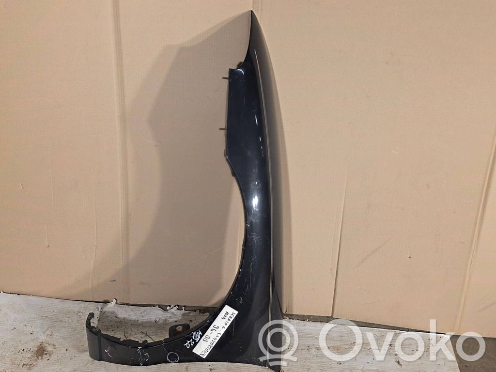 Fender   5288089