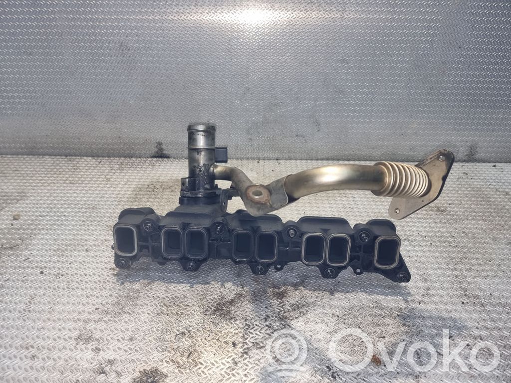 Ford Transit Kolektorius įsiurbimo 