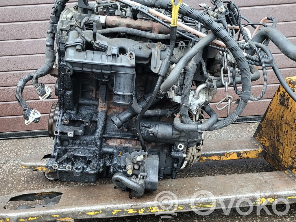 Ford Transit Variklis 