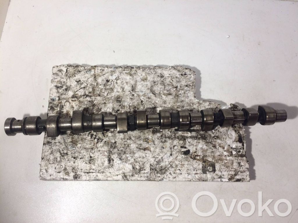 Camshaft   244461