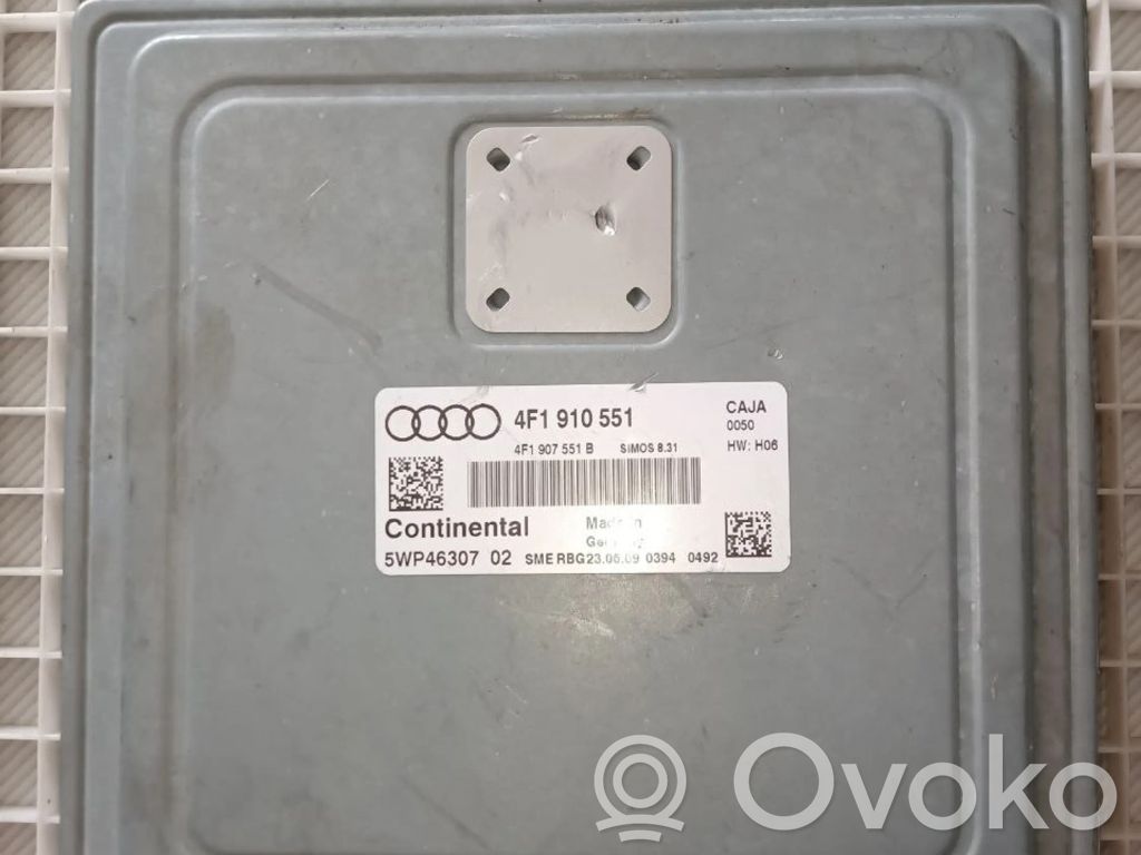 Audi A6 S6 C6 4F Engine control unit/module 
