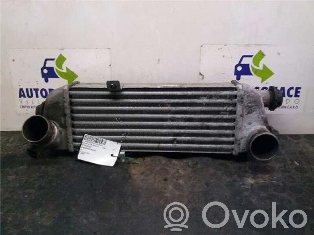 Intercooler radiator