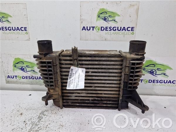 Intercooler radiator   8200471885
