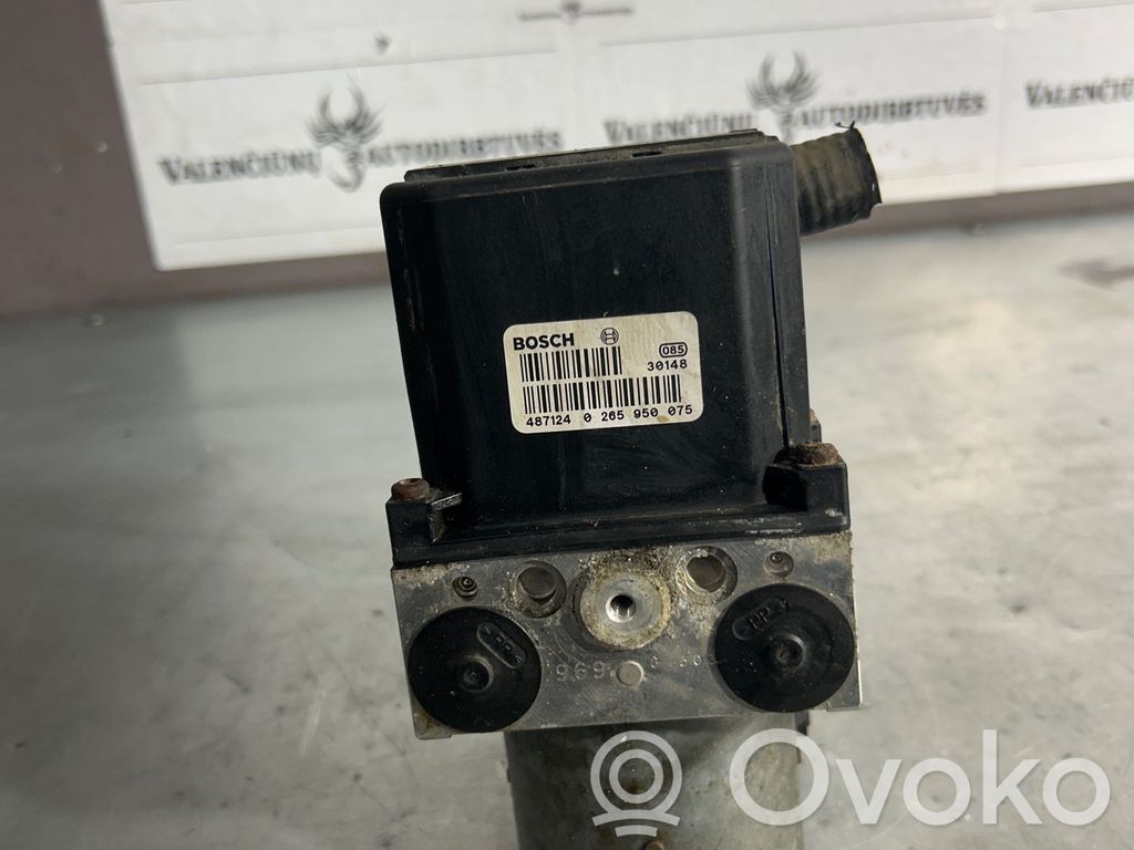 ABS Pump   0265950075,487124,30148