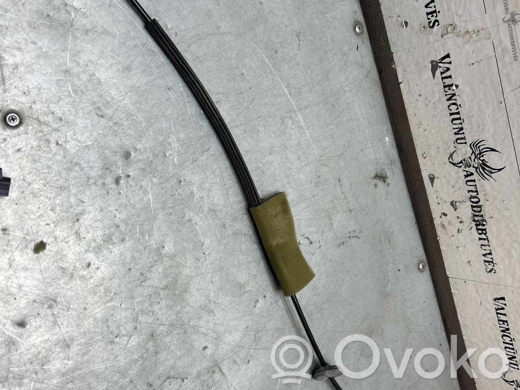 Ford Focus C-MAX Línea de cable puerta delantera 