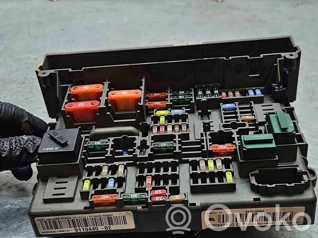 Fuse module   9119445,220307