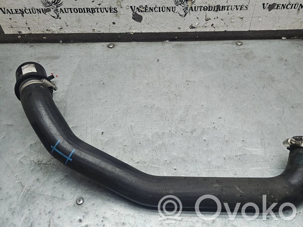 Ford Focus Furtun/conductă intercooler 