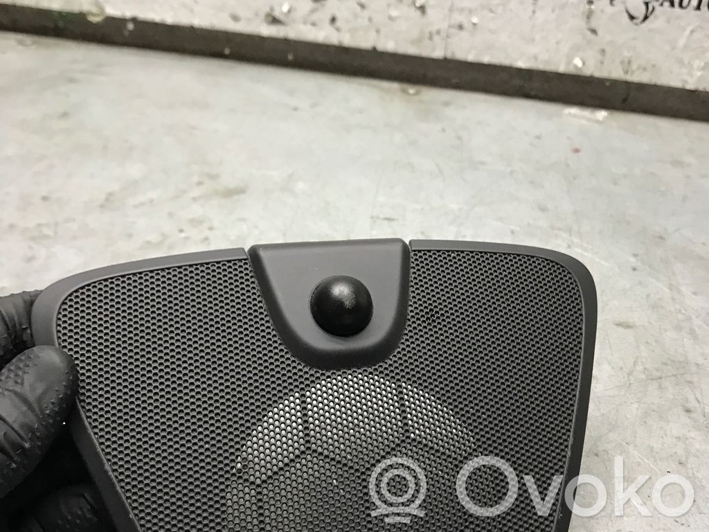 Cache enceinte centrale   13255440,1707346,340685796