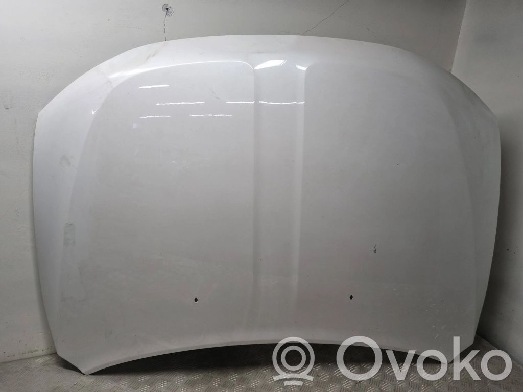 Dzinēja pārsegs (vāks)   6836F301AA
