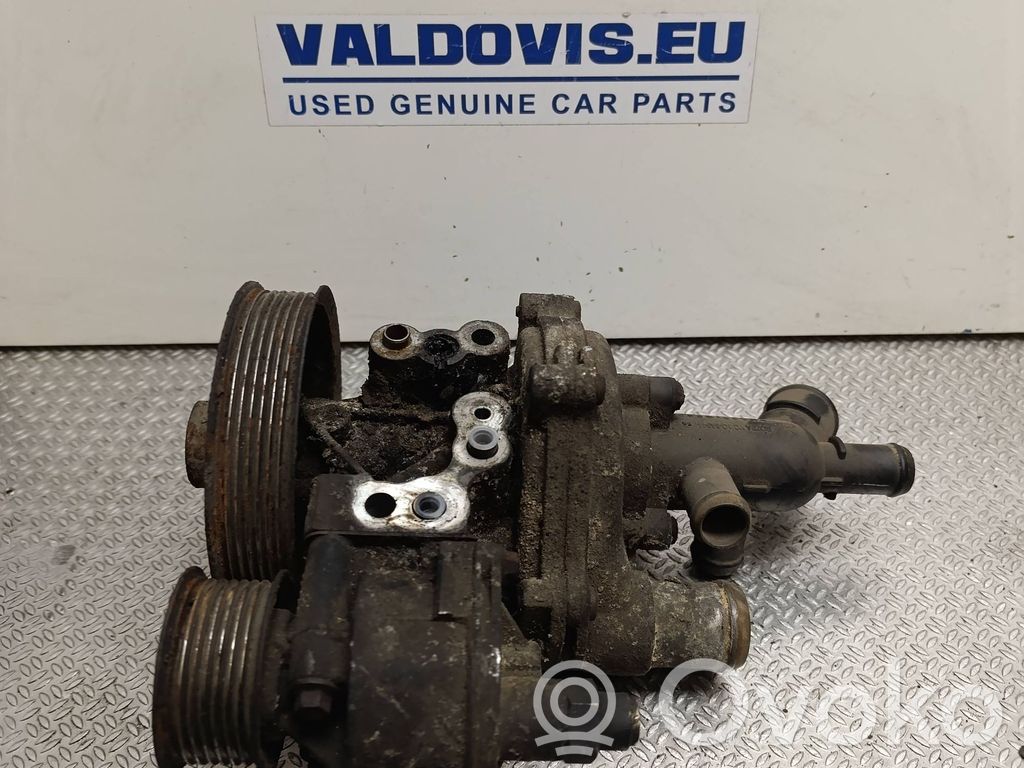 Ford Transit Vairo stiprintuvo siurblys 