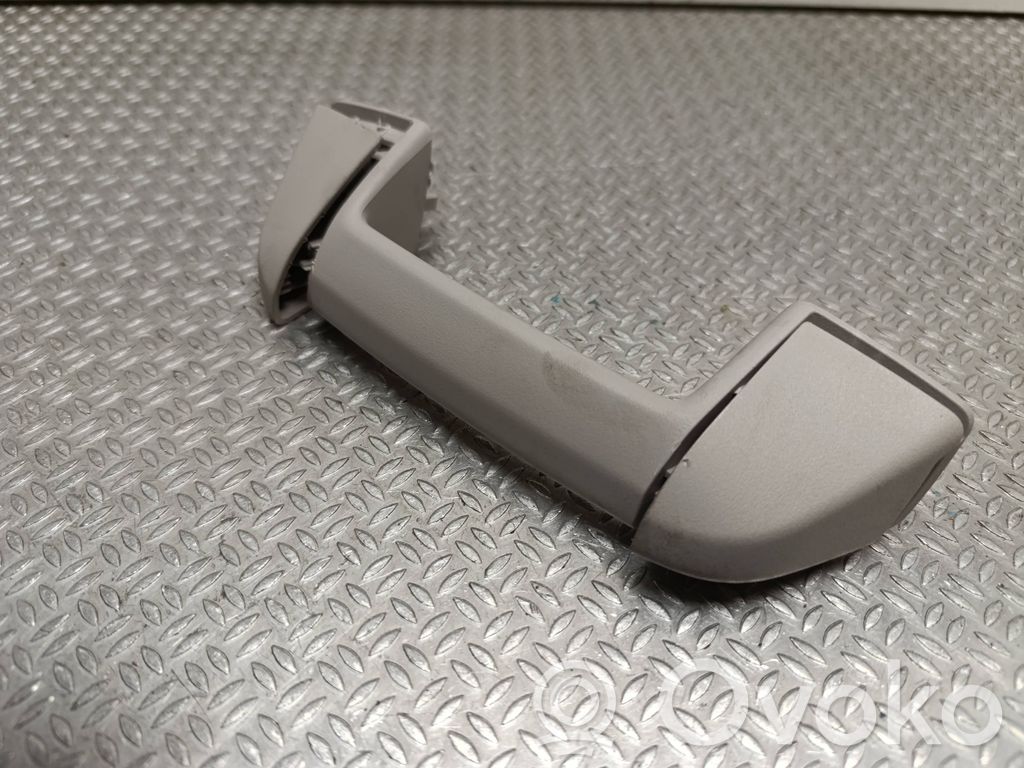 Asidero interior delantero   9813105577