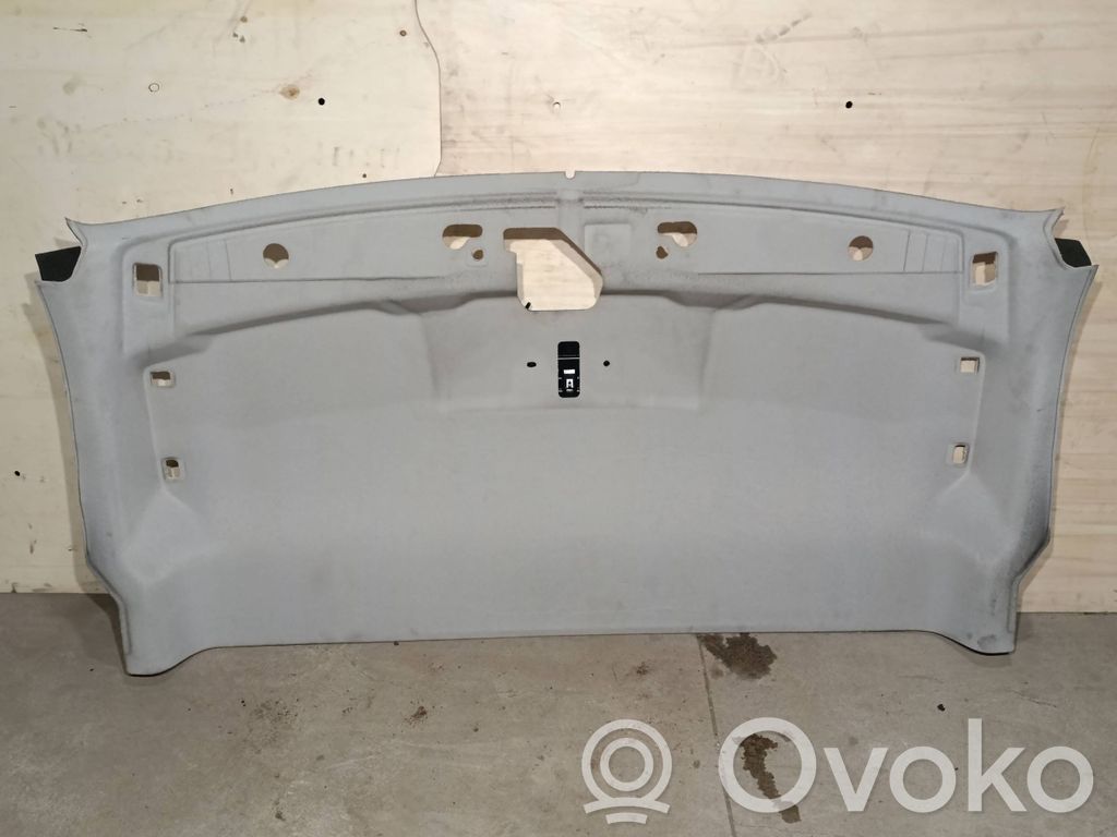 Ford Transit Dachhimmel 