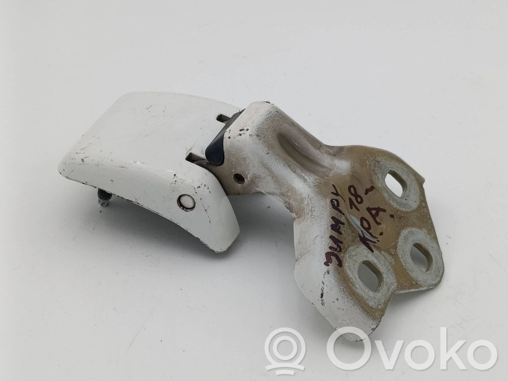 Citroen Jumpy Rear door lower hinge 
