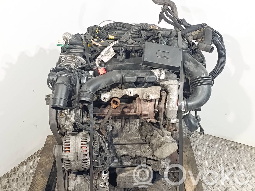 Citroen Berlingo Motor 