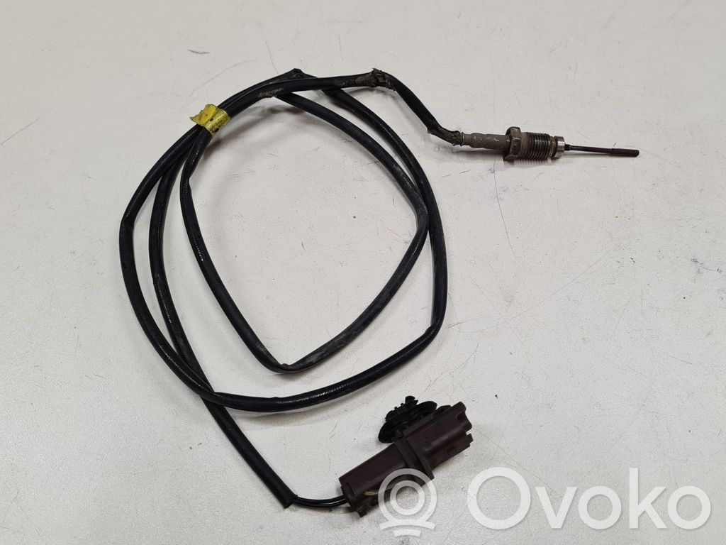 Citroen C5 Išmetamųjų dujų temperatūros daviklis 