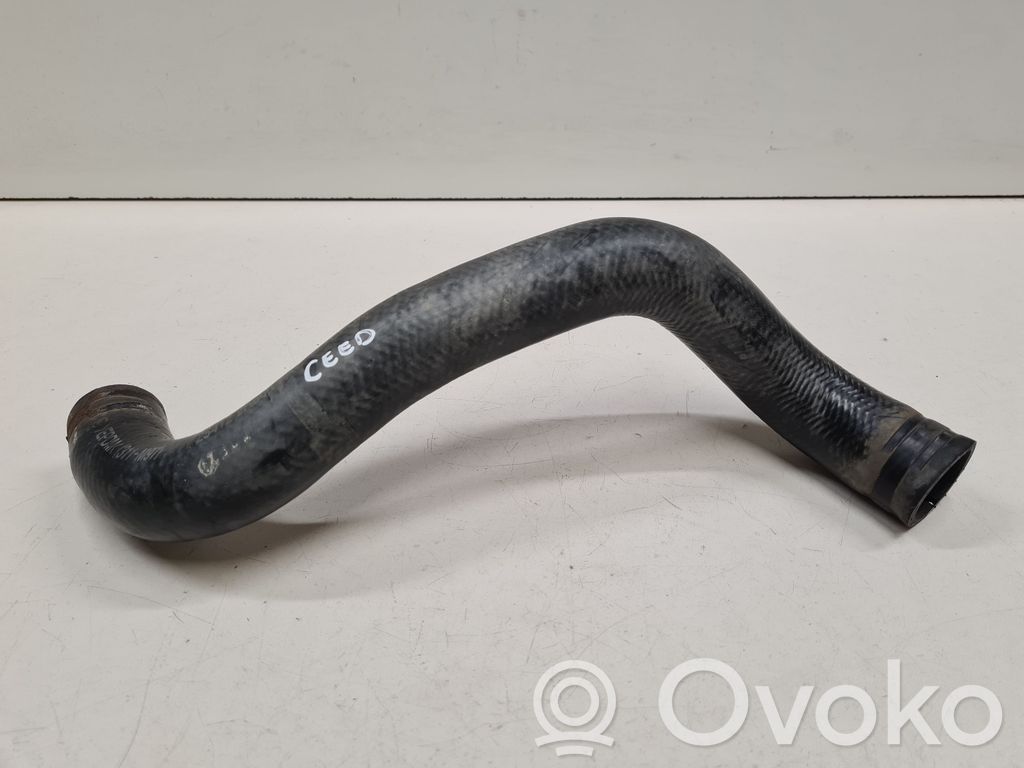 KIA Ceed Engine coolant pipe/hose 