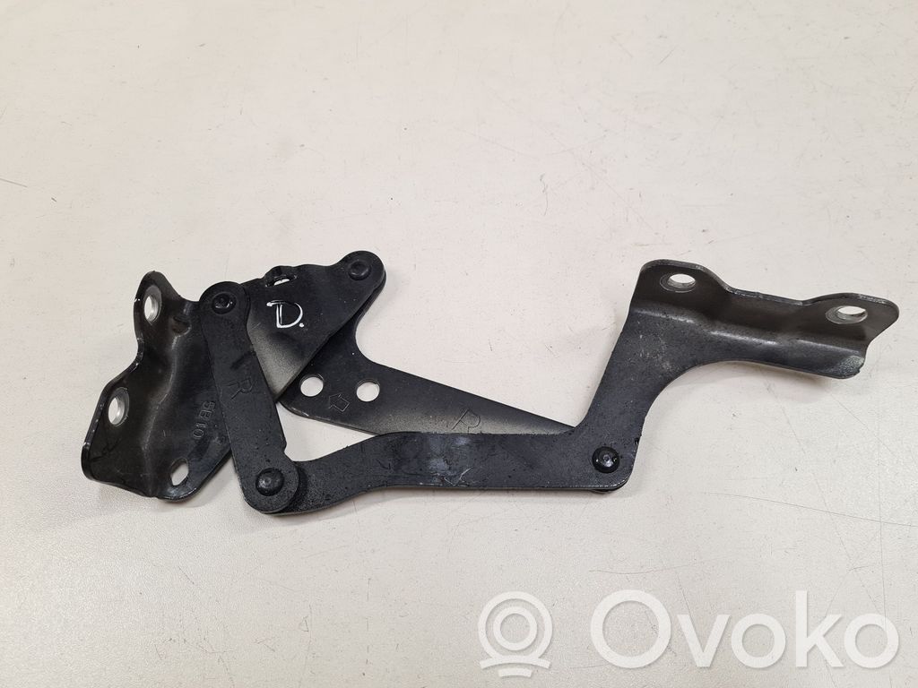Peugeot iOn Engine bonnet/hood hinges 