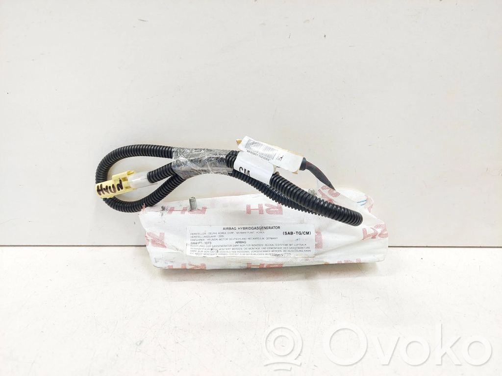 Hyundai Santa Fe Airbag del asiento 