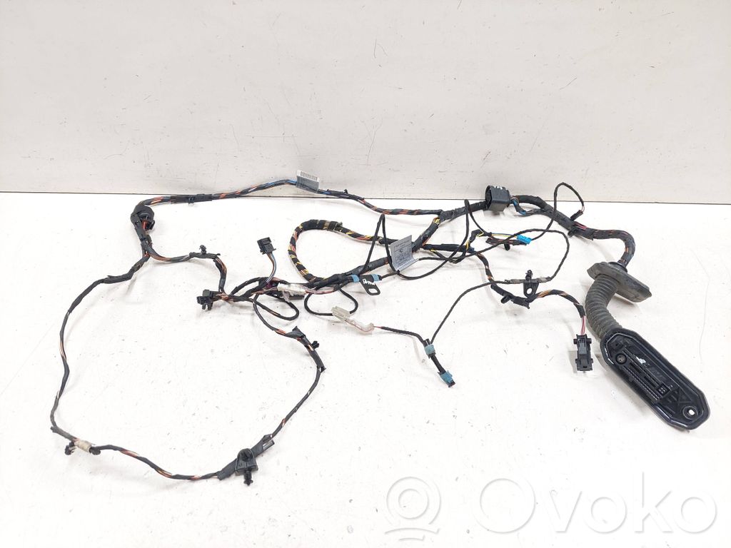 BMW X6 E71 Front door wiring loom 