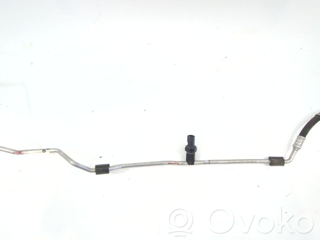 Coolant pipe/hose   424016401
