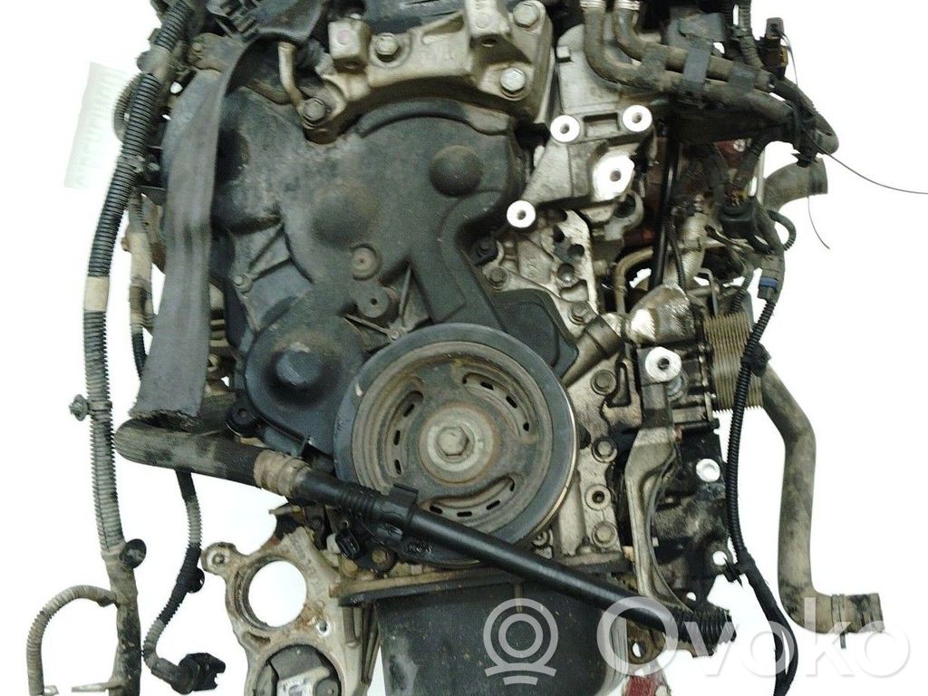 Motor   9HP,9H06,0135SW
