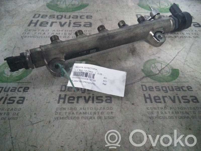 Rampa inyectora   314002A410,0445214111