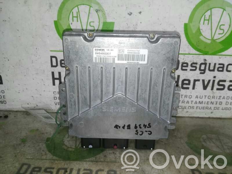 Citroen C5 Engine control unit/module 