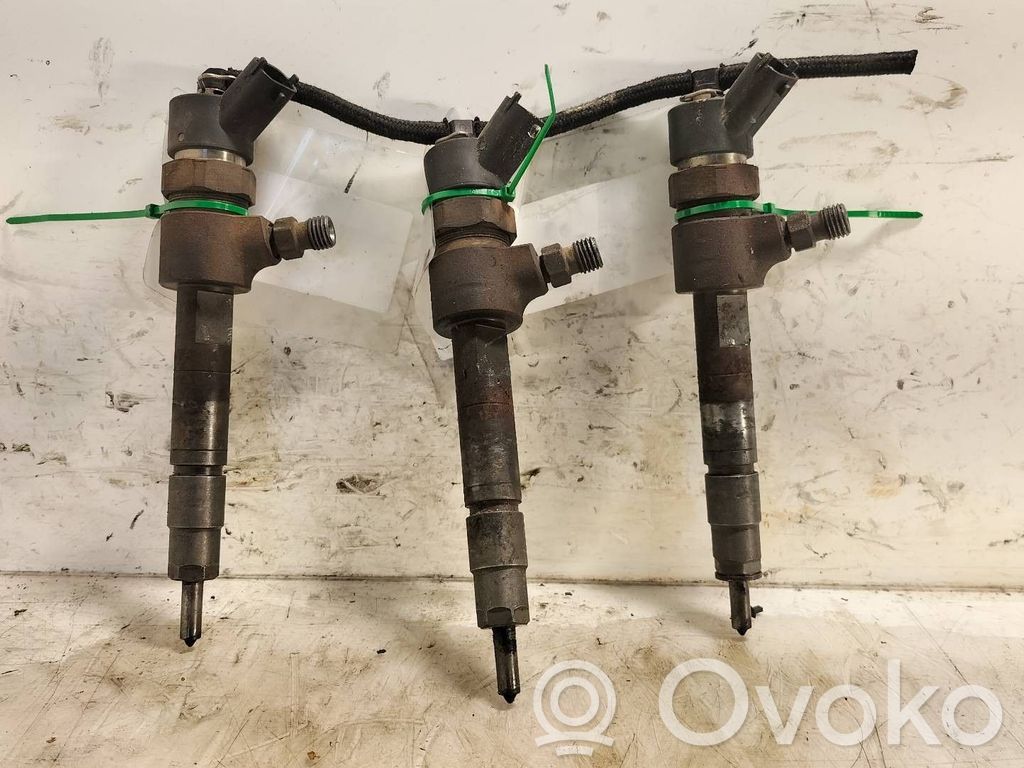 Injector combustibil   0445110068