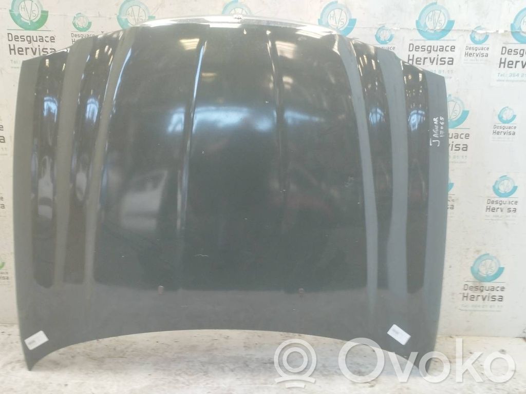 Motorhaube