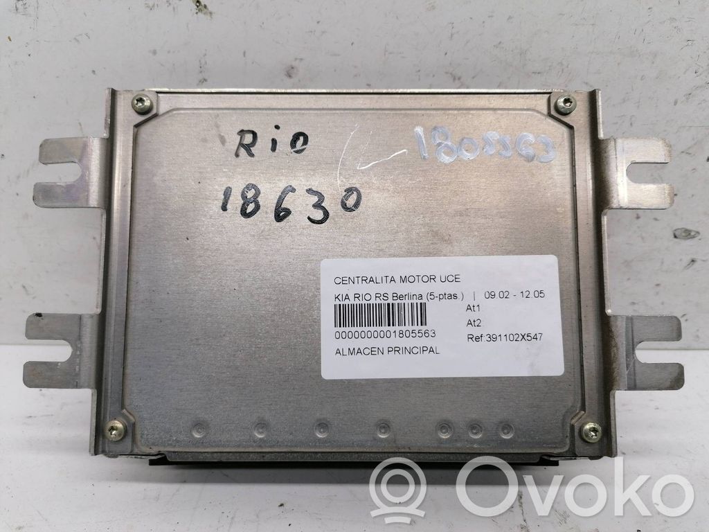 Engine control unit/module   391102X547