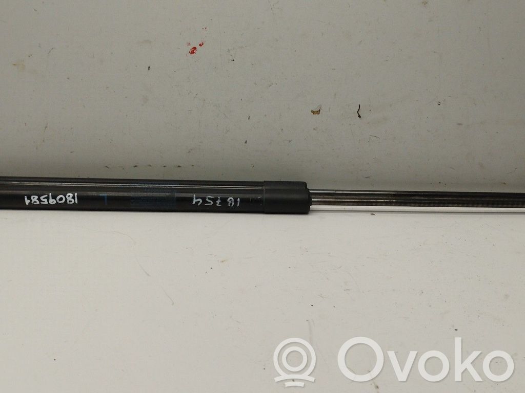 Honda CR-V Tampon hayon/capotă portbagaj 