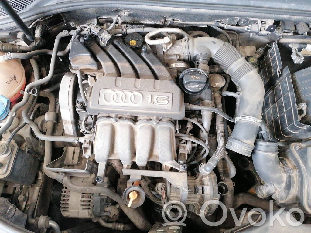 Motor   BGU
